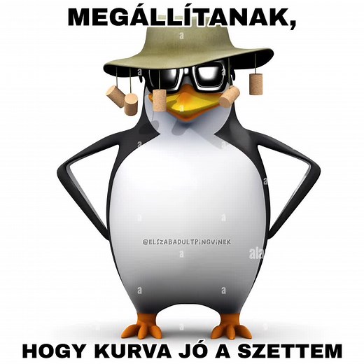 Elszabadult Pingvinek® a TikTokon