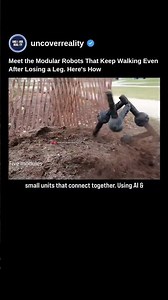 Meet the Modular Robots That Keep Walking Even After Losing a Leg. Here's How #robot #shorts