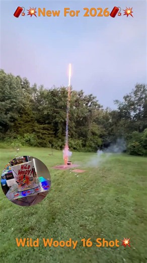 NEW FOR 2026 Wild Woody 16 Shot 💥 #fireworks #fireworksvideo #4thofjuly2026