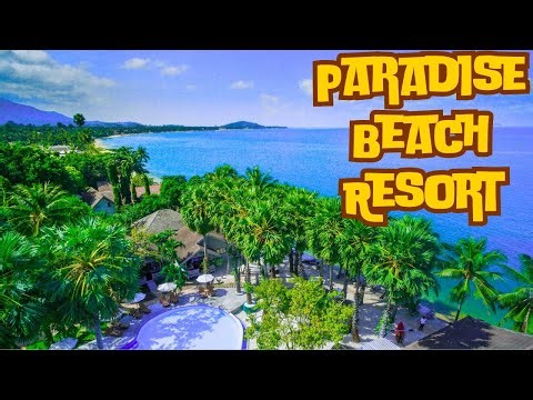 Living the Island Life at Cozumel’s Paradise Beach!🌴