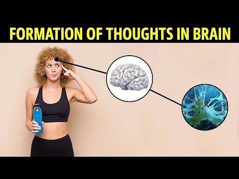 How Thoughts are formed in the Brain