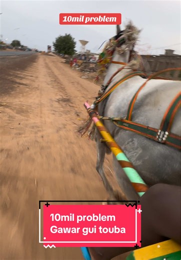 Problèmes de 10 mil dans les courses hippiques à Touba