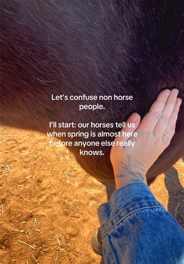 Horses Know When Spring Arrives Before Us