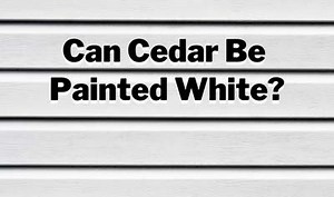 Can Cedar Be Painted White? Paint Cedar Like a Pro!