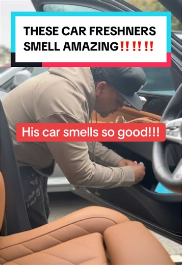 Amazing Car Fresheners from CE Craft Company