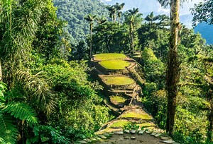 Ciudad Perdida Tour: The Lost City Trek Colombia