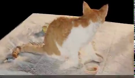 Gaussian splats are a funny technology because they produce these highly detailed 3D spaces that can be rendered in real time but you can't even use them for animation or games