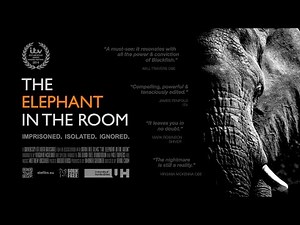 The Elephant in the Room – Narrated by Virginia McKenna