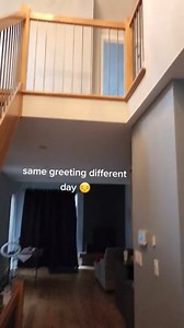 129K views · 6.9K reactions | glad to know I'm the first line of defense in a home invasion.#rottweiler #dogsofinstagram #dog #rottweilers #rottie #rottweilersofinstagram #dogs #rottweilerpuppy #puppy #instagram #rottweilerlove #of #rottiesofinstagram #pitbull #doberman #rottweilerworld #rottielove #puppiesofinstagram #dogoftheday #puppylove #rottweilerfans #dogstagram #puppies #canecorso #love #rottweilerlife #k #doglovers #doglover #germanshepherd | Dozer and Lilah. | Facebook