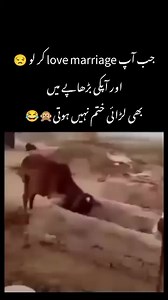1.4M views · 10K reactions | Side Effects of love marriage 藍پسند کی شادی کے نقصانات  | خدمتِ خلق | Facebook