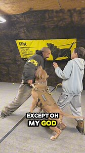 This young pitbull understands the assignment! Protect the family ❤️🙏🏾❤️ | I am the HULK