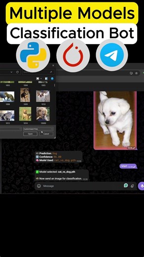 Telegram Bot for Image Classification 🚀 | AI Project #computervision #education #deeplearning