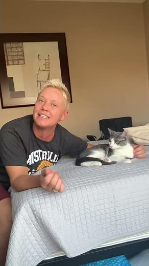 Help For Cat Skin Problems | Two Crazy Cat Ladies