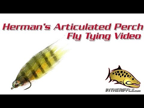 Herman's Articulated Perch Minnow Fly Tying Video Instructions