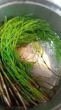 スギナのお茶のつくり方