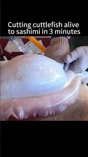 Cutting cuttlefish alive to sashimi in 3 minutes Taiwan seafood market #fish #tuna #giant