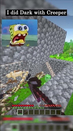 I DID DARK WITH CREEPER IN MINECRAFT!