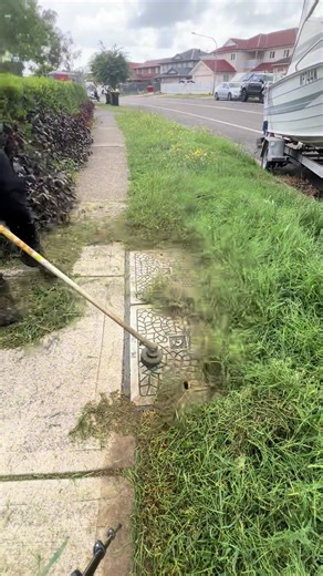 Ultimate ASMR Lawn Care Experience with Ray