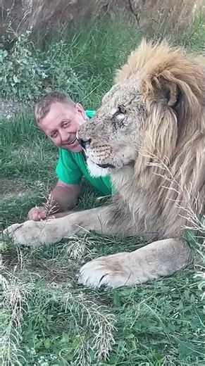 Oleg Zubkov - The Lion Man and His Lions