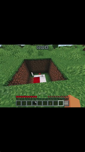 Cat 🐈‍⬛ Spawns 😨 #minecraft #gaming