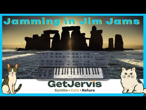 Jamming in Jimjams: SOLSTICE magic #cat #stylophone #synth #vintage #chat