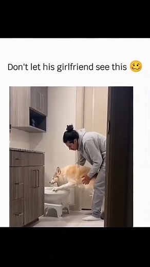 Funny and cute dogs compilation 藍 | Adorable Animals | Facebook