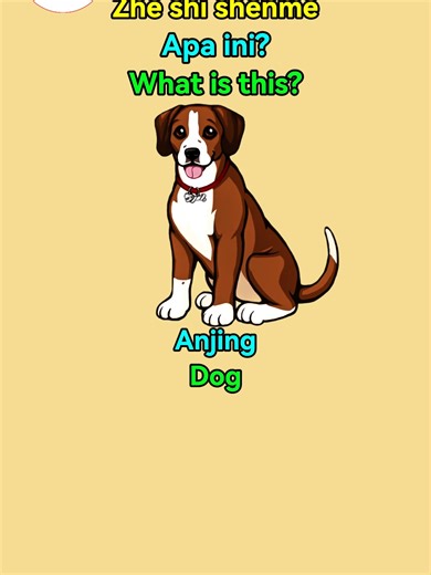 Learn About Animals in Mandarin: Vocabulary Insights
