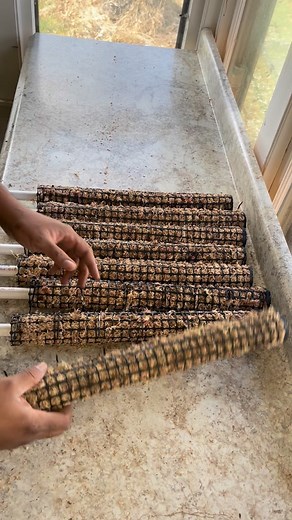 12K views · 90 reactions | Add a Level, Grow A Leaf #stackablemosspoles • Use a stackable moss pole so your plant can keep climbing as it grows—add height without repotting! • #climbingplants #climbingplant #mosspole #plants #plantsmakepeoplehappy #fblifestyle #plantsofinstagram #diy #plantsplantsplants | Foraging Fosters | Facebook