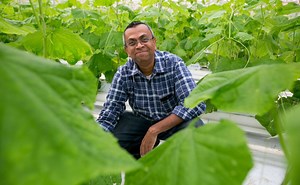 Lakshana 'Lucky' Kumarage on building a career after moving from Sri Lanka