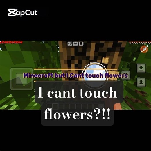 Minecraft, But I Can't Touch Flowers!