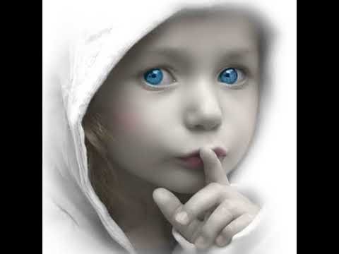 Live Camera of Flamingo in Florida.