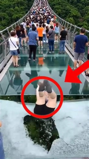 What Happens If China’s Glass Bridge Breaks? 😱🌉#GlassBridge #ChinaBridge