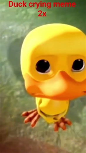 Duck crying meme 2x