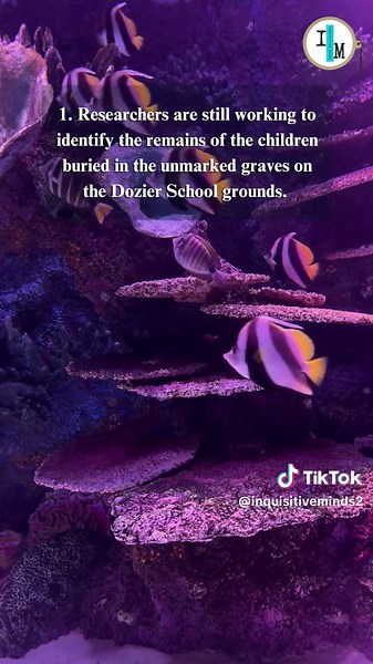 The White House Boys. #didyouknow #interestingfacts #randomfacts #horror #history #fyp #tiktok