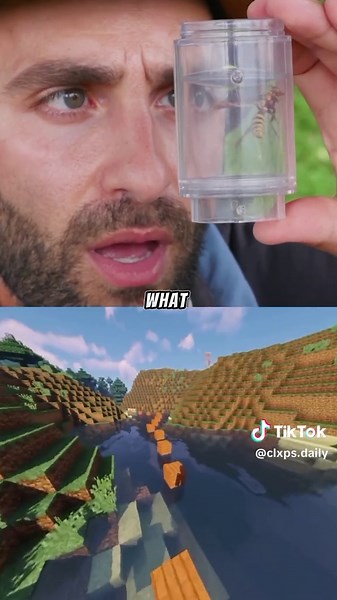 Replying to @raff_pov1st Stung by an Executioner Wasp - Part 4 😱@DailyClips #viral #follow #foryoupage #foryou #fyp #trending #like