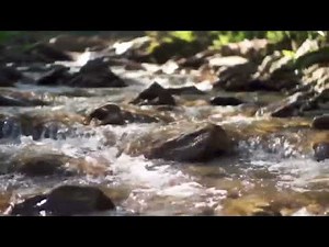 Meditation Music for Still Reflection