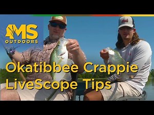 Okatibbee Crappie Fishing with Hayden Jefferies – LiveScope Tips