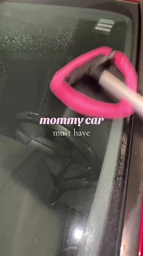 Complete Car Cleaning Kit with 17 Essential Tools