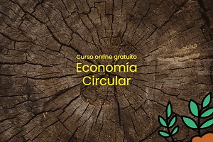 9 Cursos gratis economía circular: Desde ONU | Universidades