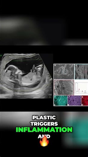 Plastic Inside! How Microplastics Harm Babies in the Womb #shorts