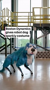 77K views · 537 reactions | Is it cute or creepy? You decide. Watch Boston Dynamics’ robot dog, Spot, show off some serious dance moves while dressed in a blue sparkly dog costume named Sparkles. According to the company, “Sparkles is a custom costume designed just for Spot to explore the intersections of robotics, art, and entertainment.” | cheddar news | Facebook