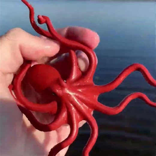 Octopus Fun Facts and quick wash