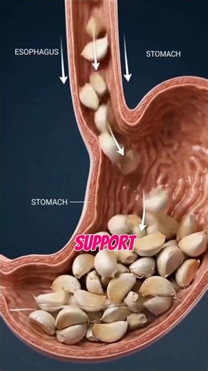 garlic health benefits | eating garlic daily | garlic before bed | #garlicbenefits #garlic #reel