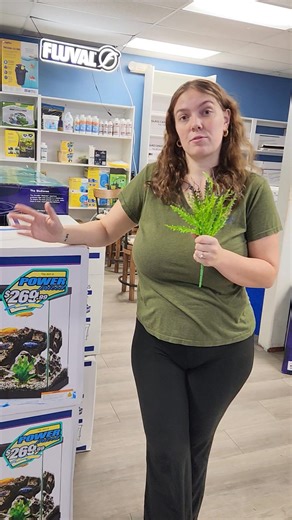 5.7K views · 68 reactions | Let's talk fish tank sizes and what is best for your fish!!! | Fishy Business | Facebook