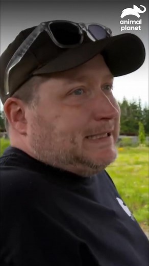 9.6K views · 138 reactions |  Nuestra única meta es el bienestar animal. Somos un hogar de retiro para los que han sido maltratados, donde solo los cuidadores tienen acceso. Ojalá no tuviéramos que existir, pero mientras la cría de tigres no se detenga, nuestra labor es vital.  Disfruta el contenido de Discovery en #HBOMax Suscríbete ahora: https://bit.ly/MAX-AnimalPlanetLa | Animal Planet Latinoamérica | Facebook