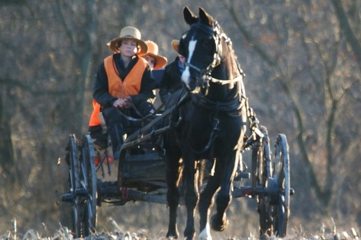 5 Facts On The Amish & Hunting - Amish America