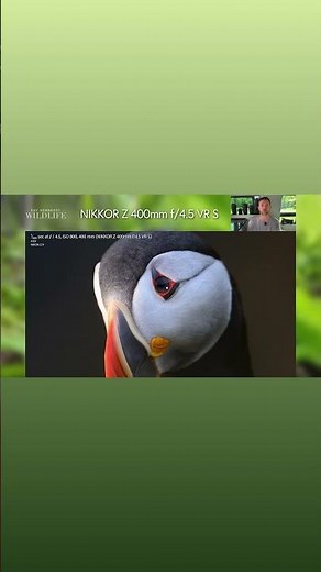 Nikon Z 400mm f/4.5 VR-S - Gear Review for Wildlife Photography - Teaser #wildlifephotography