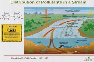 Nanotoxicology - Gregory V. Lowry, Carnegie Mellon University