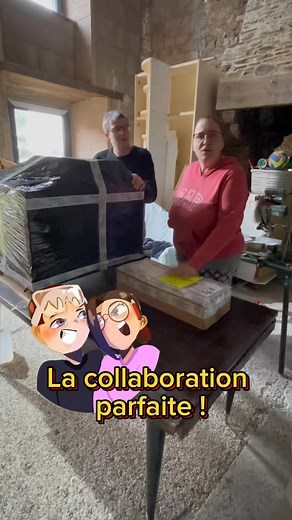 On a reçu le tout dernier rénovateur REX 120 D de chez Fartools, livré avec plusieurs brosses adaptées à différentes applications de décapage, idéal pour nettoyer, poncer ou rénover des matériaux de récup’ et nos jolies trouvailles.On a également reçu la scie sur table TS 1800C, qui va vraiment nous simplifier la découpe des planches pour notre rénovation 🪚Un vrai gain de temps et de précision, merci à Fartools pour ce super matériel ! Collaboration commerciale #fartools #homerenovation #renova