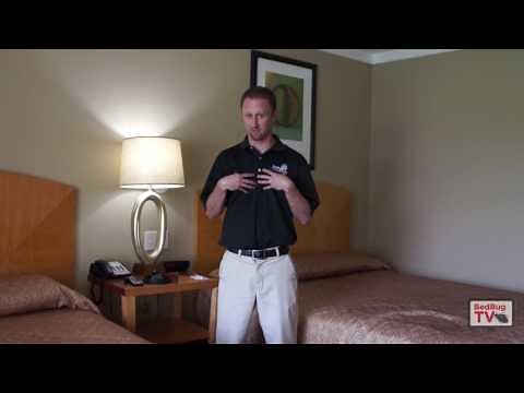 How Do I Know What's Biting Me?